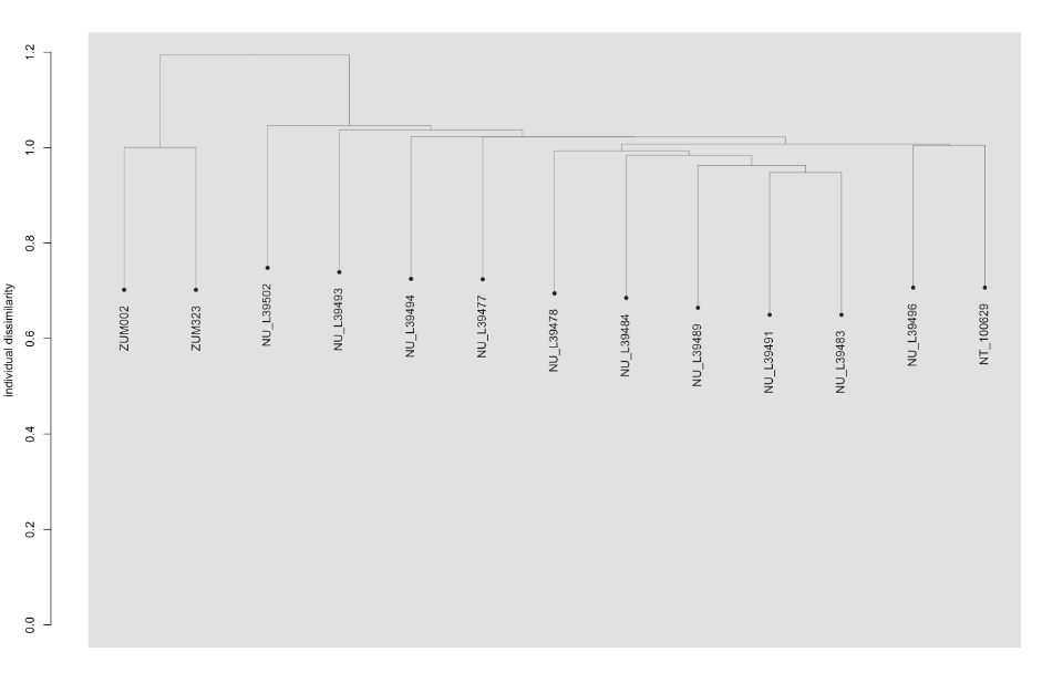 Genetic comparison of historical Russian and Canadian polar bears