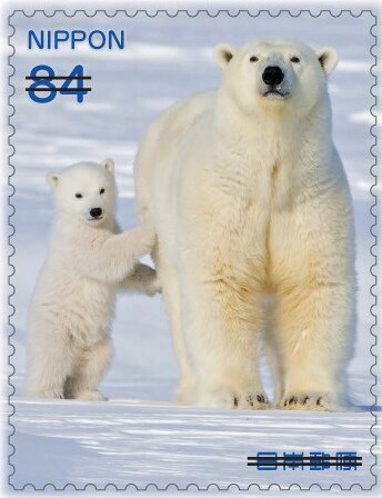 Adult polar bear with a cub