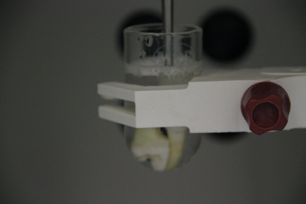 Cutting a tooth sample