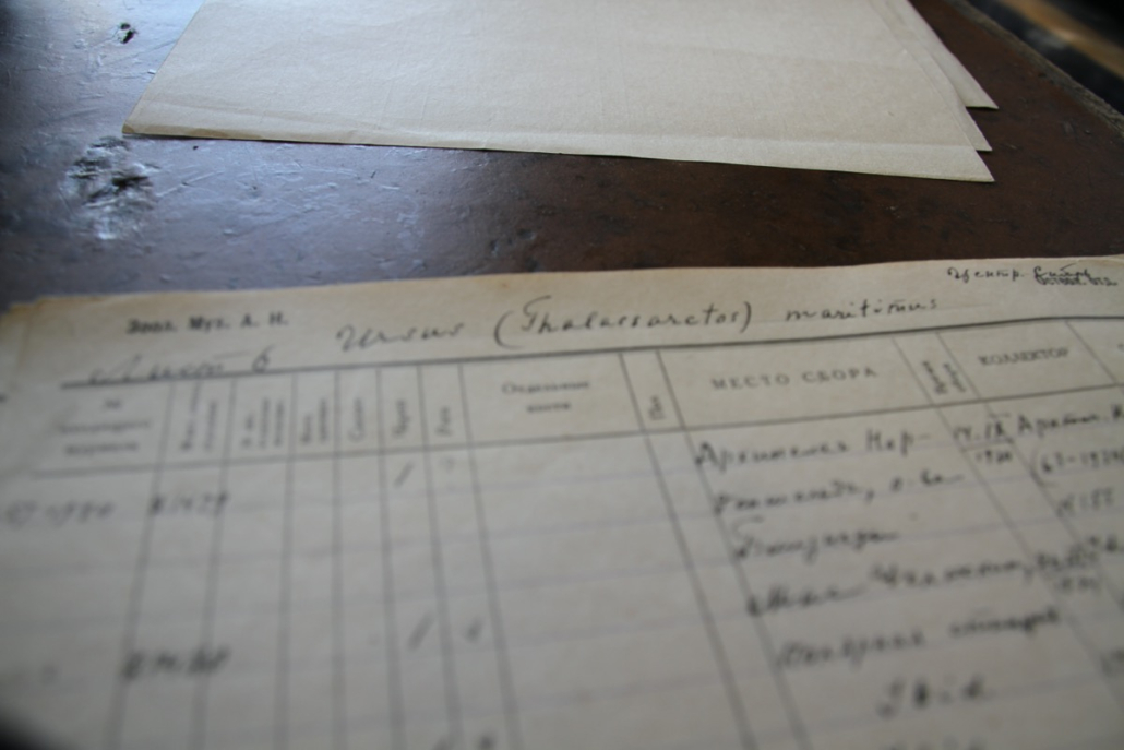 Laboratory work on DNA libraries