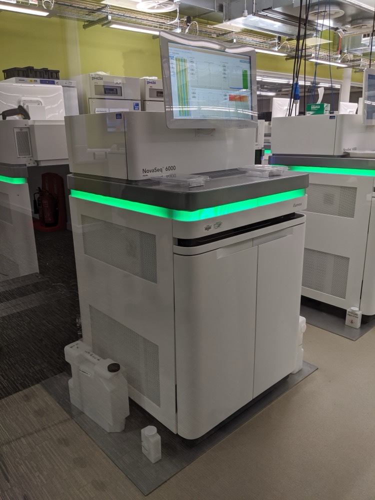 Illumina NovaSeq 6000 sequencing system