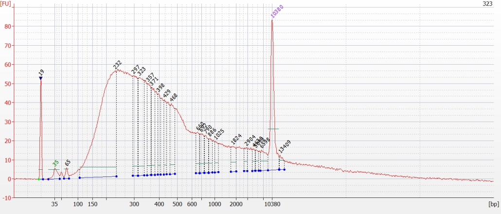 Fragment distribution for sample ZUM323