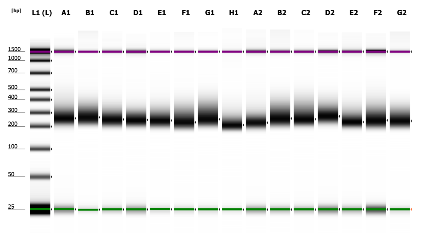 Quality control of historical DNA libraries