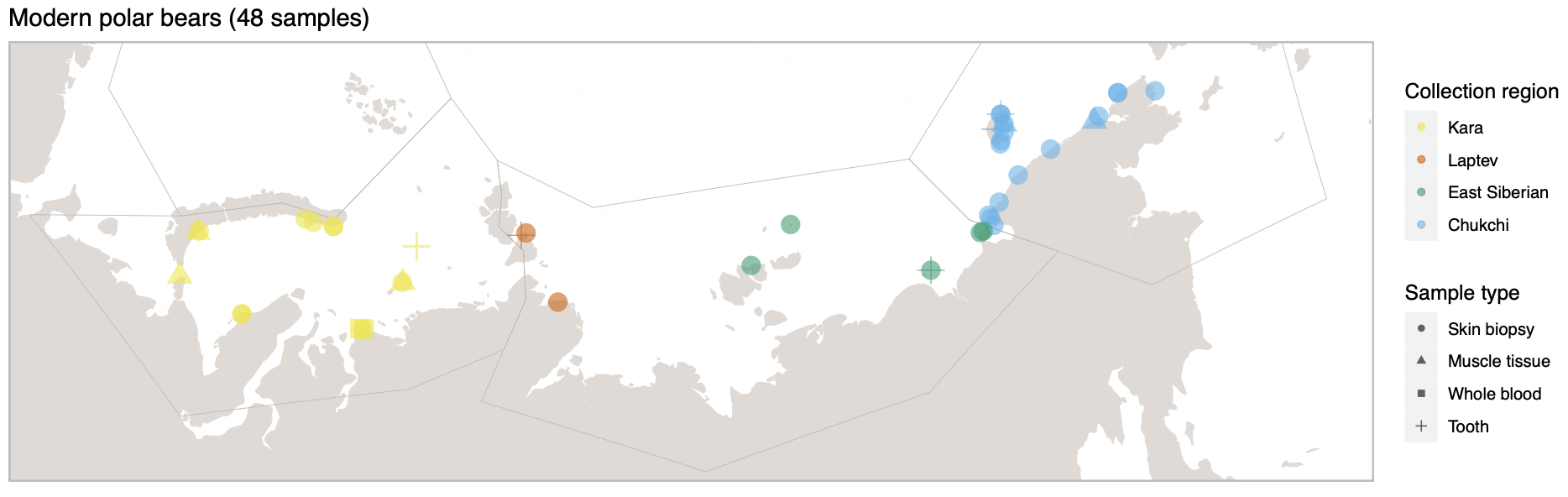 Map of 48 modern polar bear samples across the Russian Arctic